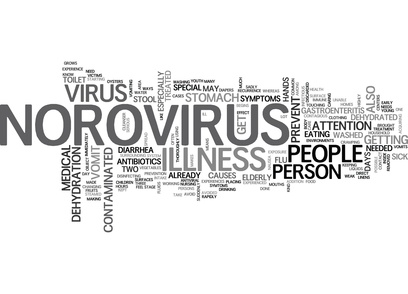 norovirus Wortwolke zum Norovirus